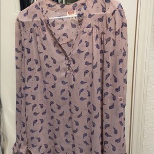 Pink and blue sheer blouse